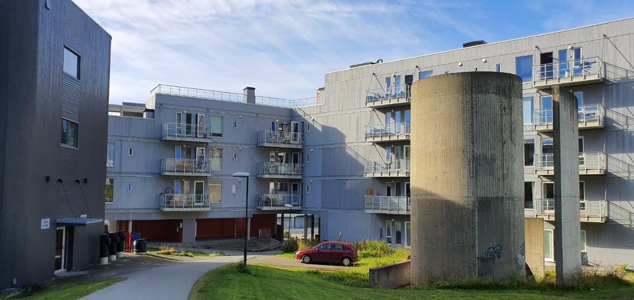 Northern Dreams Apartment With Free Parking 트롬쇠 외부 사진